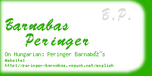 barnabas peringer business card